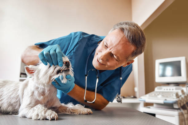 Best Emergency Root Canal Treatment in Newmanstown, PA
