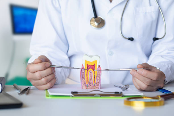Best Urgent Dental Care for Toothache in Newmanstown, PA
